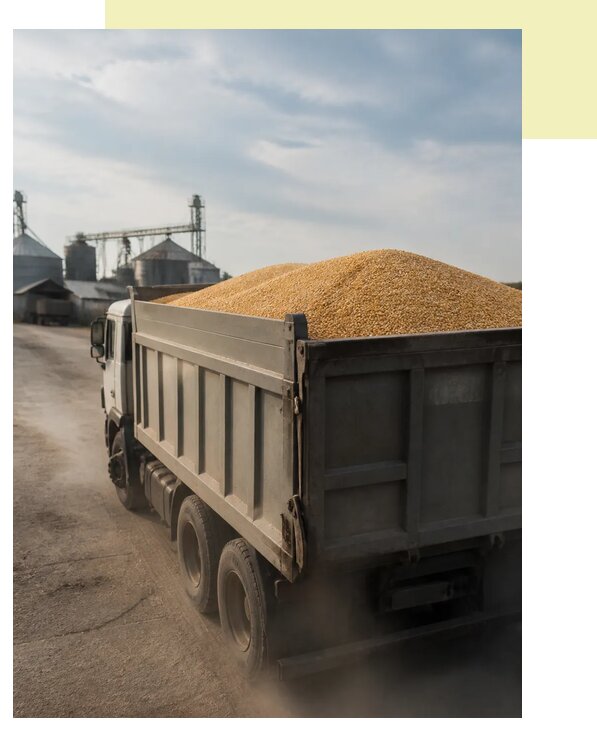 Перевозка сельхозпродукции навалом в Арсеньев по цене от 3084 р. | Агросервис-Рсн